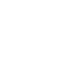 Voice UI